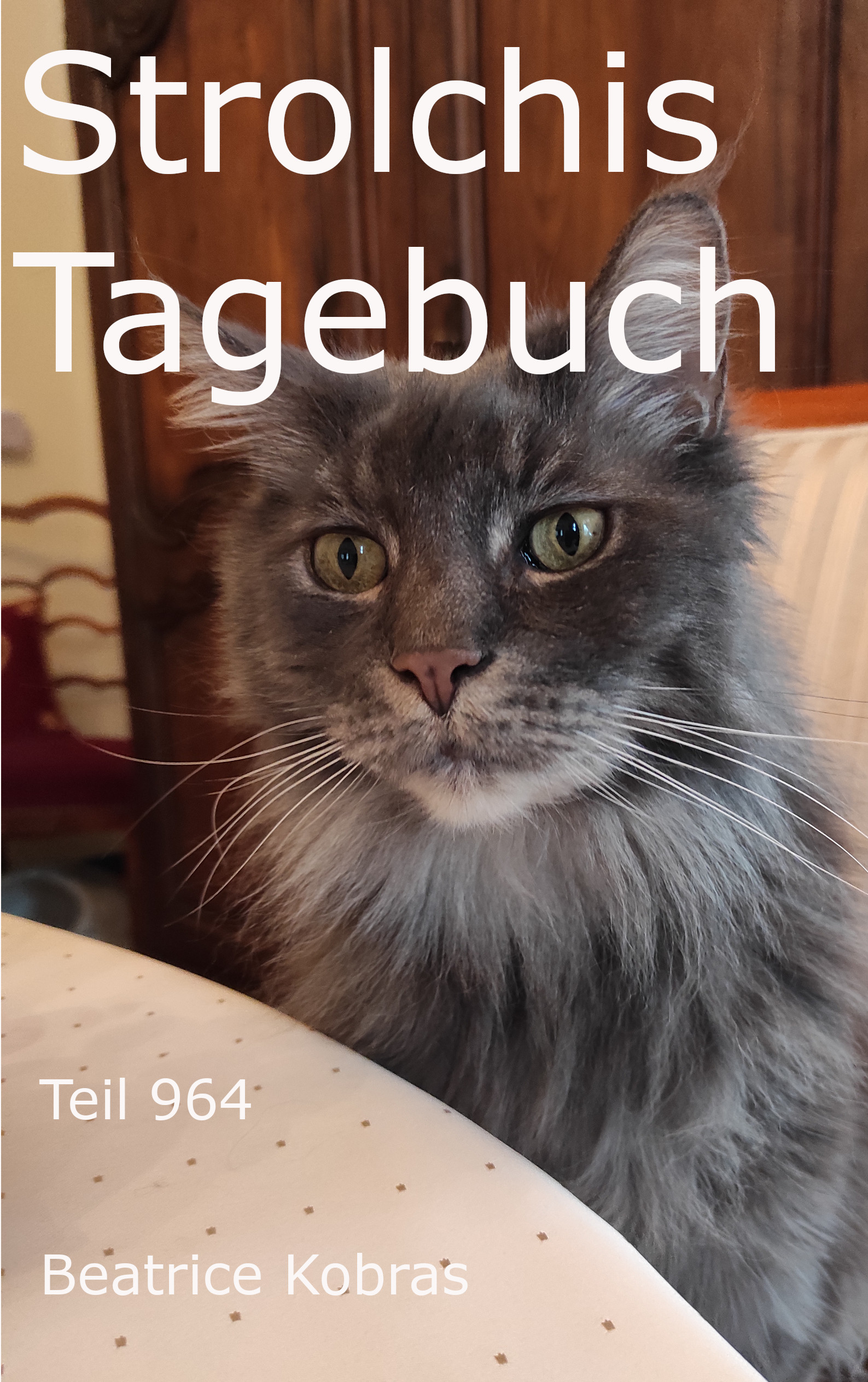 lustige Katzenbuchserie