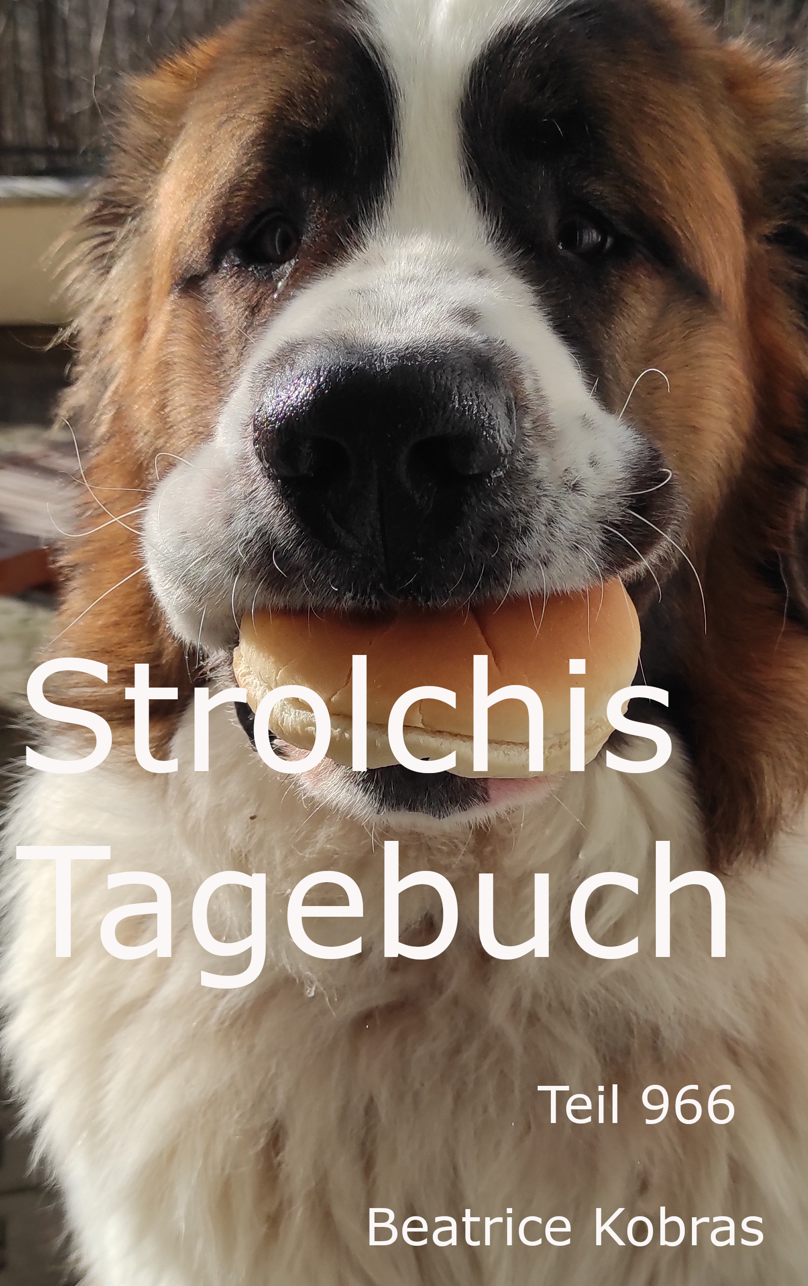 Hundegeschichten zum lachen