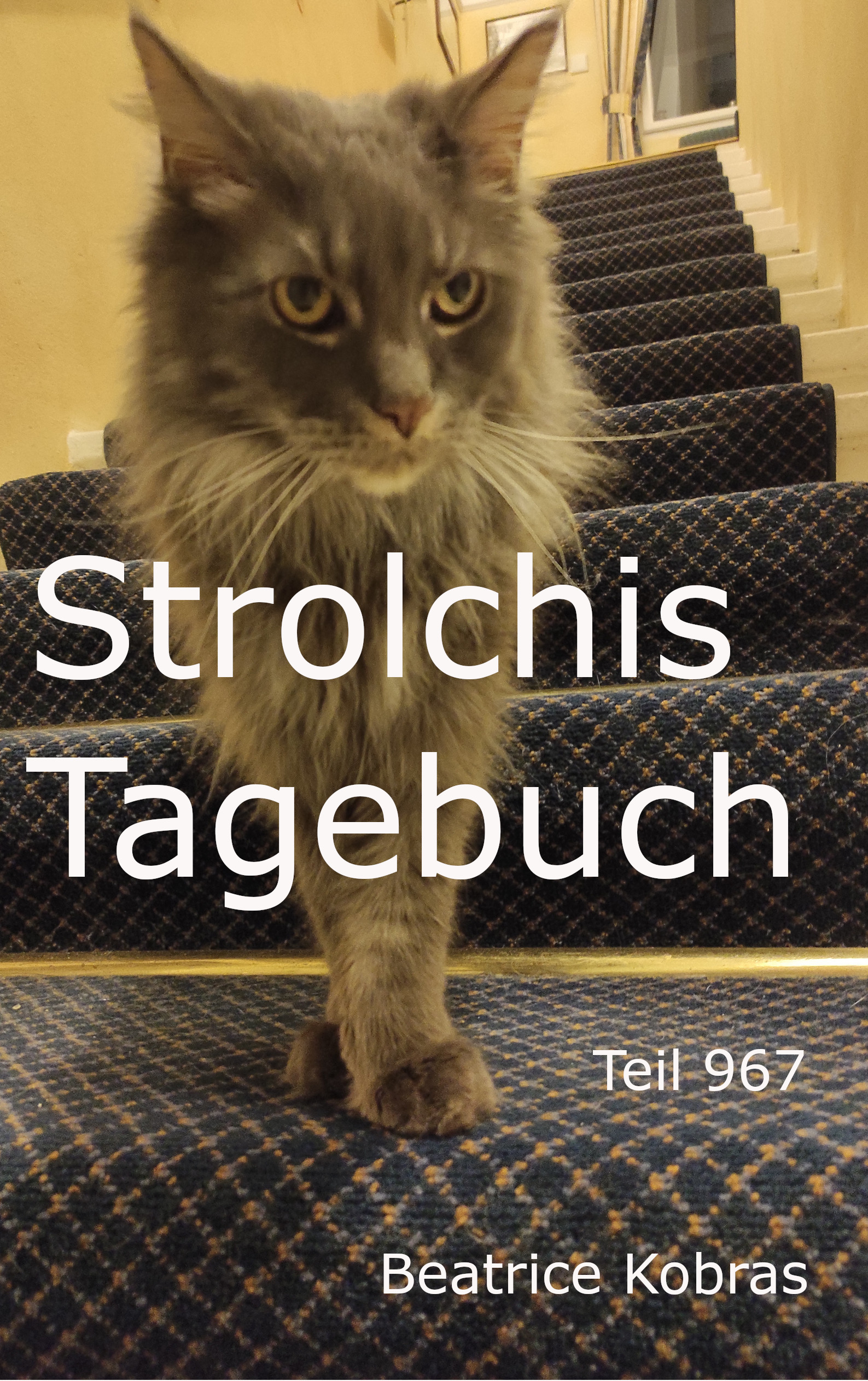 Katzenroman zum lachen