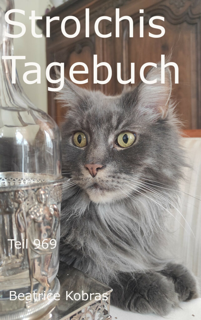 Strolchis Tagebuch - lustige Geschichten aus dem Leben einer Katze
