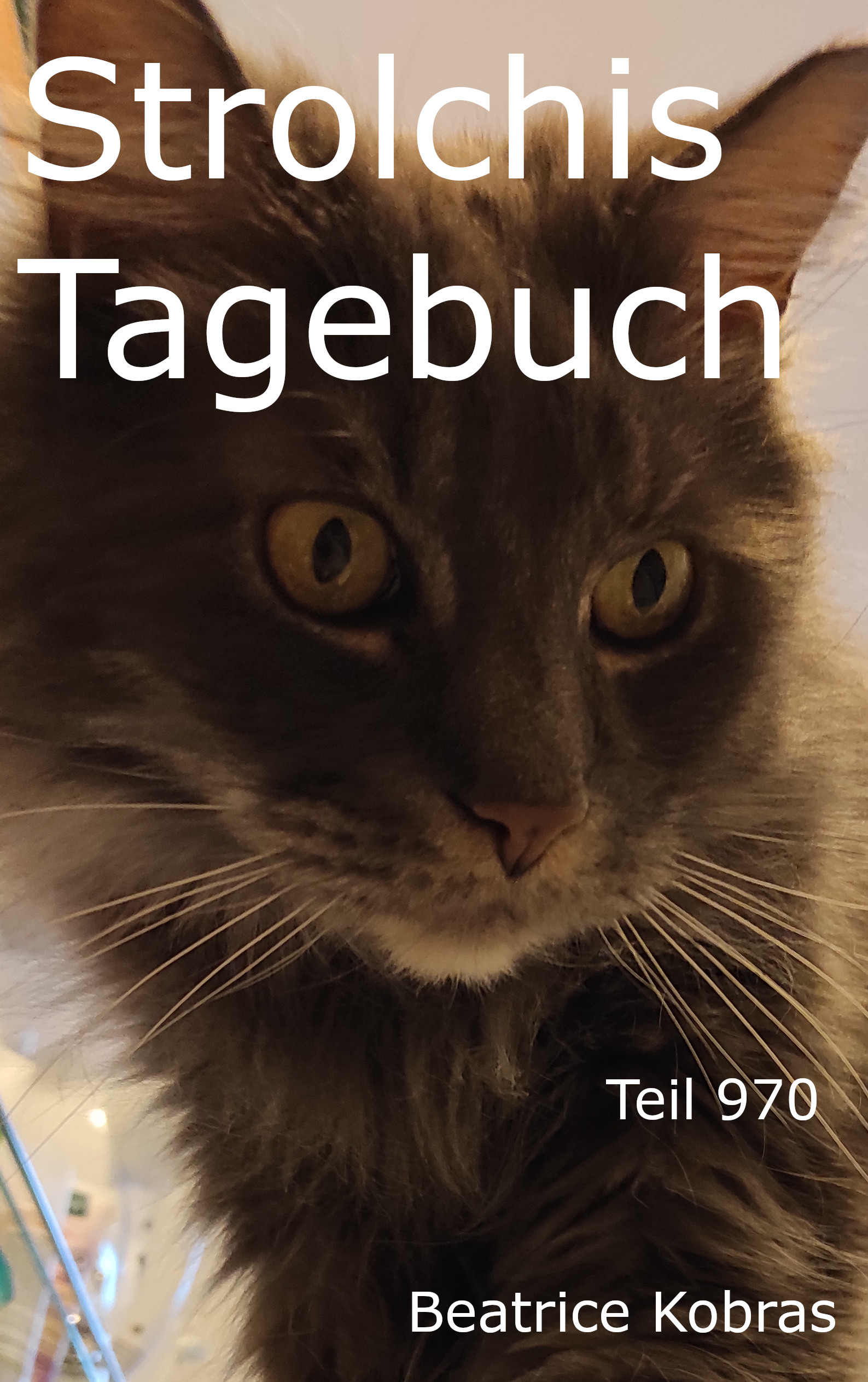 Strolchis Tagebuch - DIE Katzenbuchserie