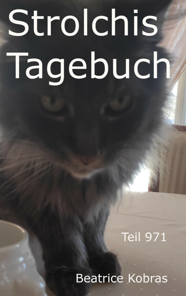 Strolchis Tagebuch - Ein Katzenbuch aus dem Alltag einer Katze.