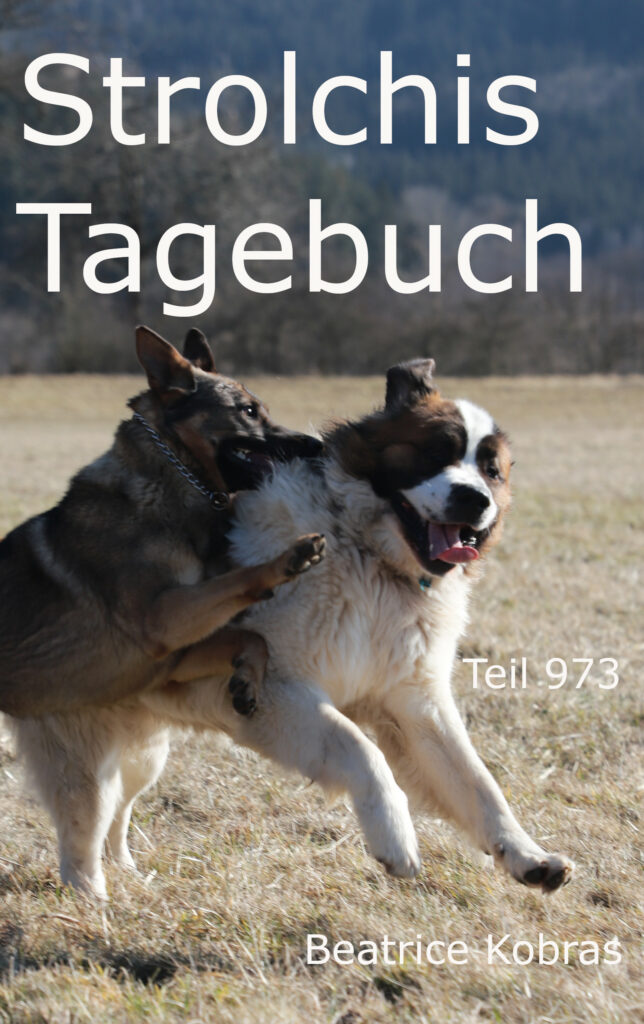 Strolchis Tagebuch - nicht nur ein Katzenbuch, auch eine tolle Hundebuchserie