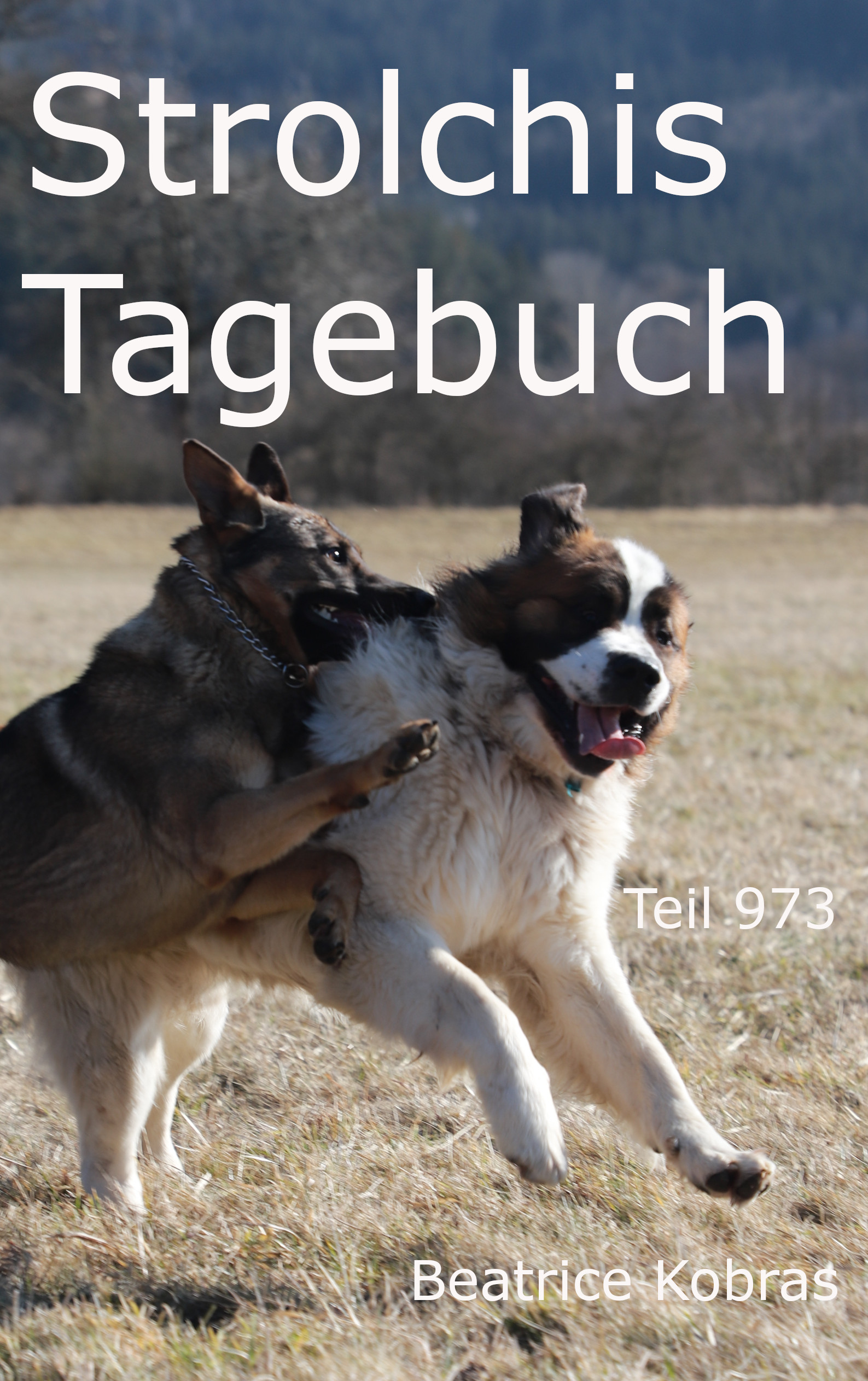 Strolchis Tagebuch - nicht nur ein Katzenbuch, auch eine tolle Hundebuchserie