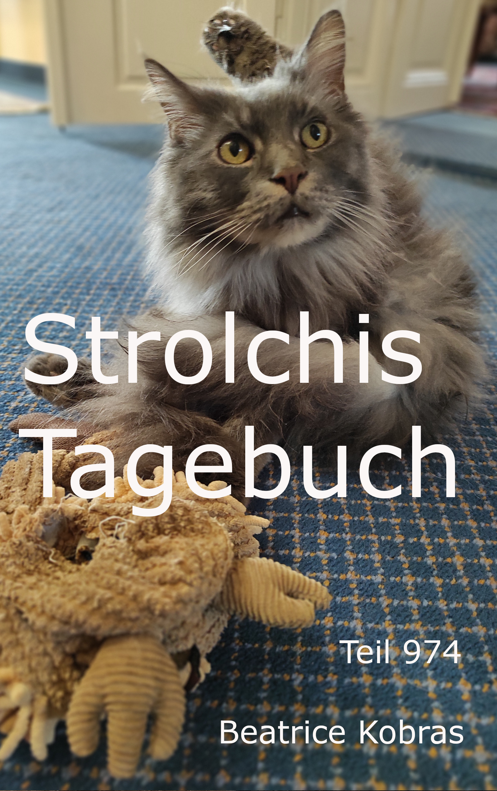 Strolchis Tagebuch - die beliebte Katzenbuchserie