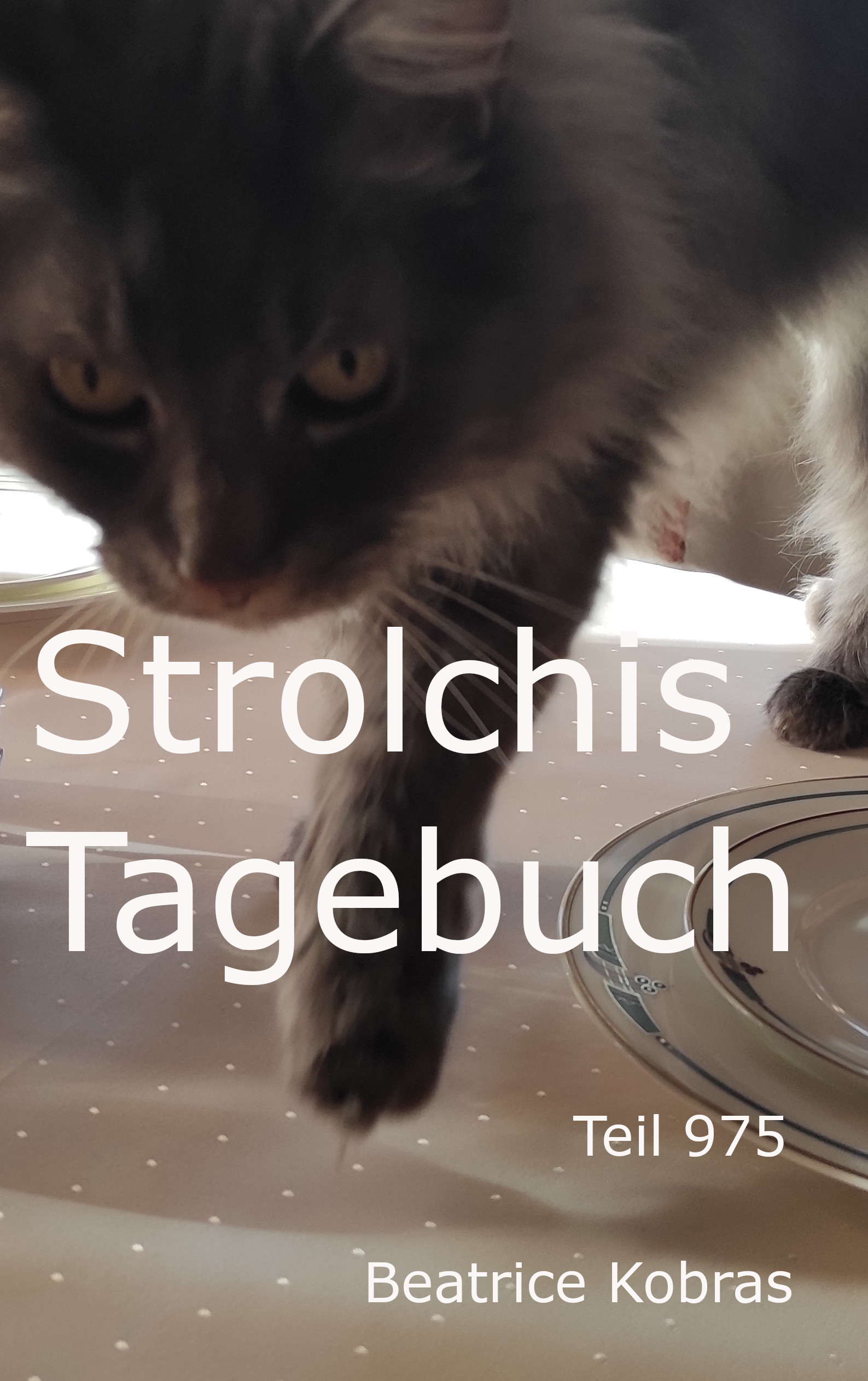 Lustiges Katzenbuch