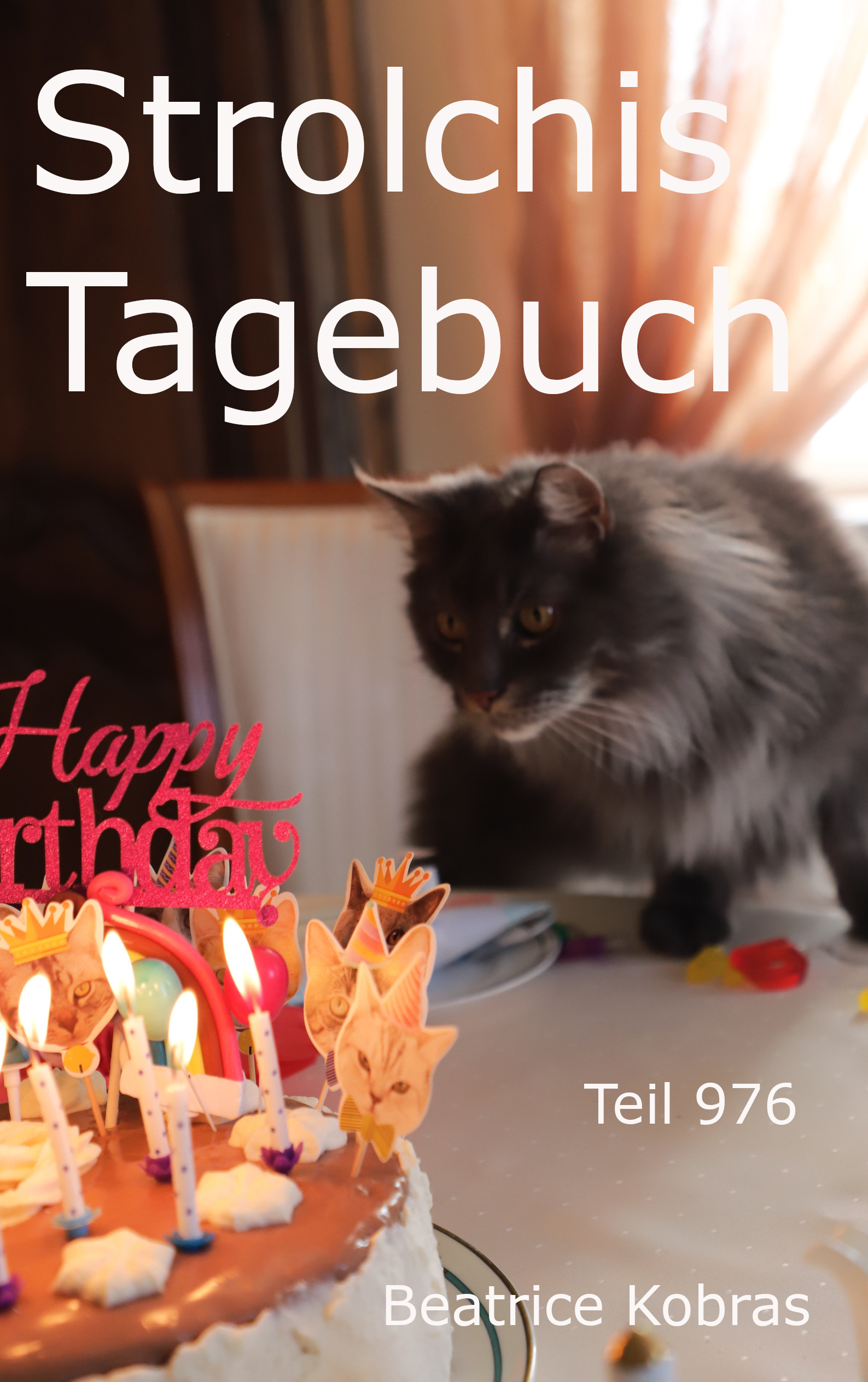 Strolchis Tagebuch - Katzengeburtstag - Lustige Katzenbücher