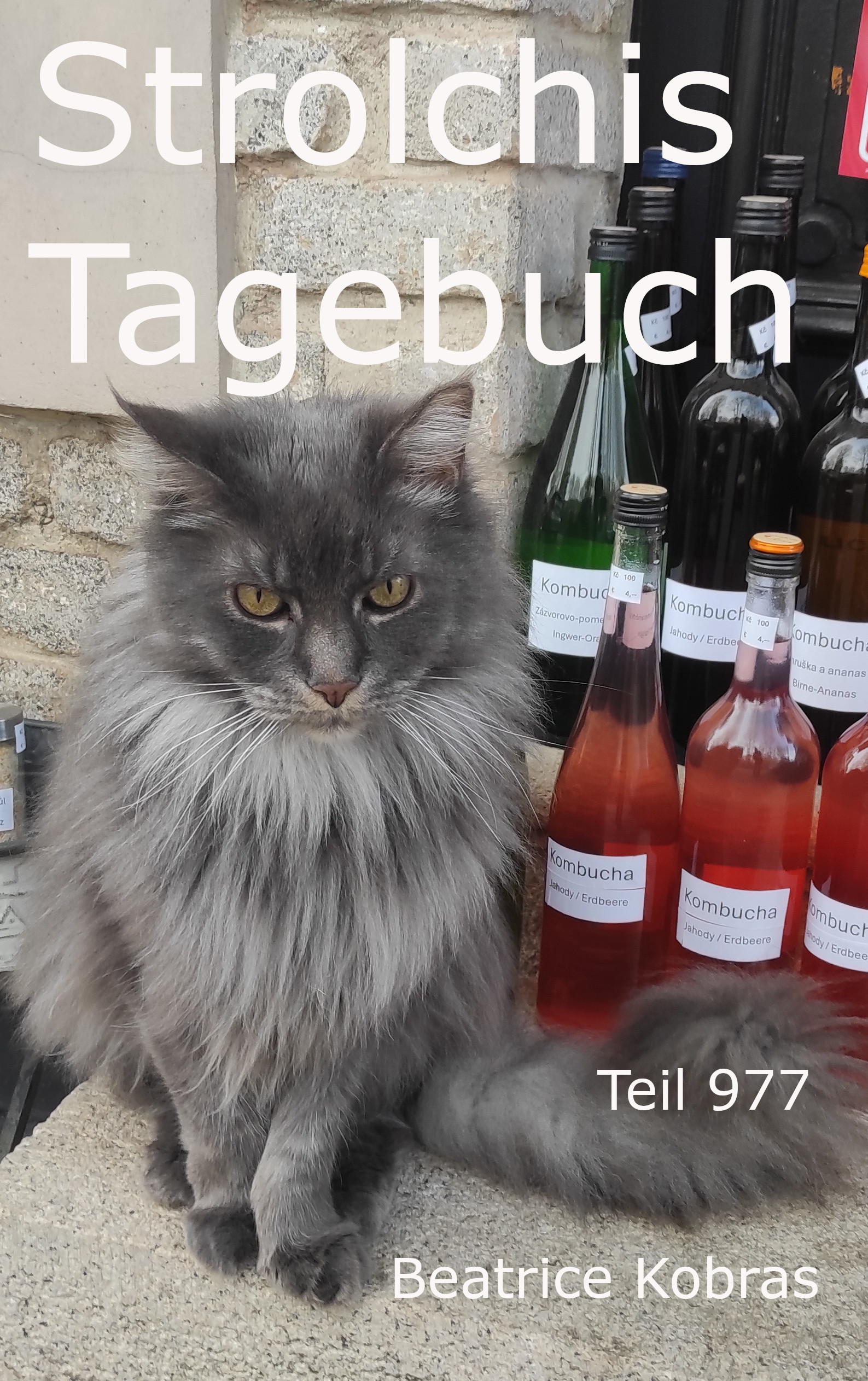 Strolchis Tagebuch - das lustige Katzenbuch