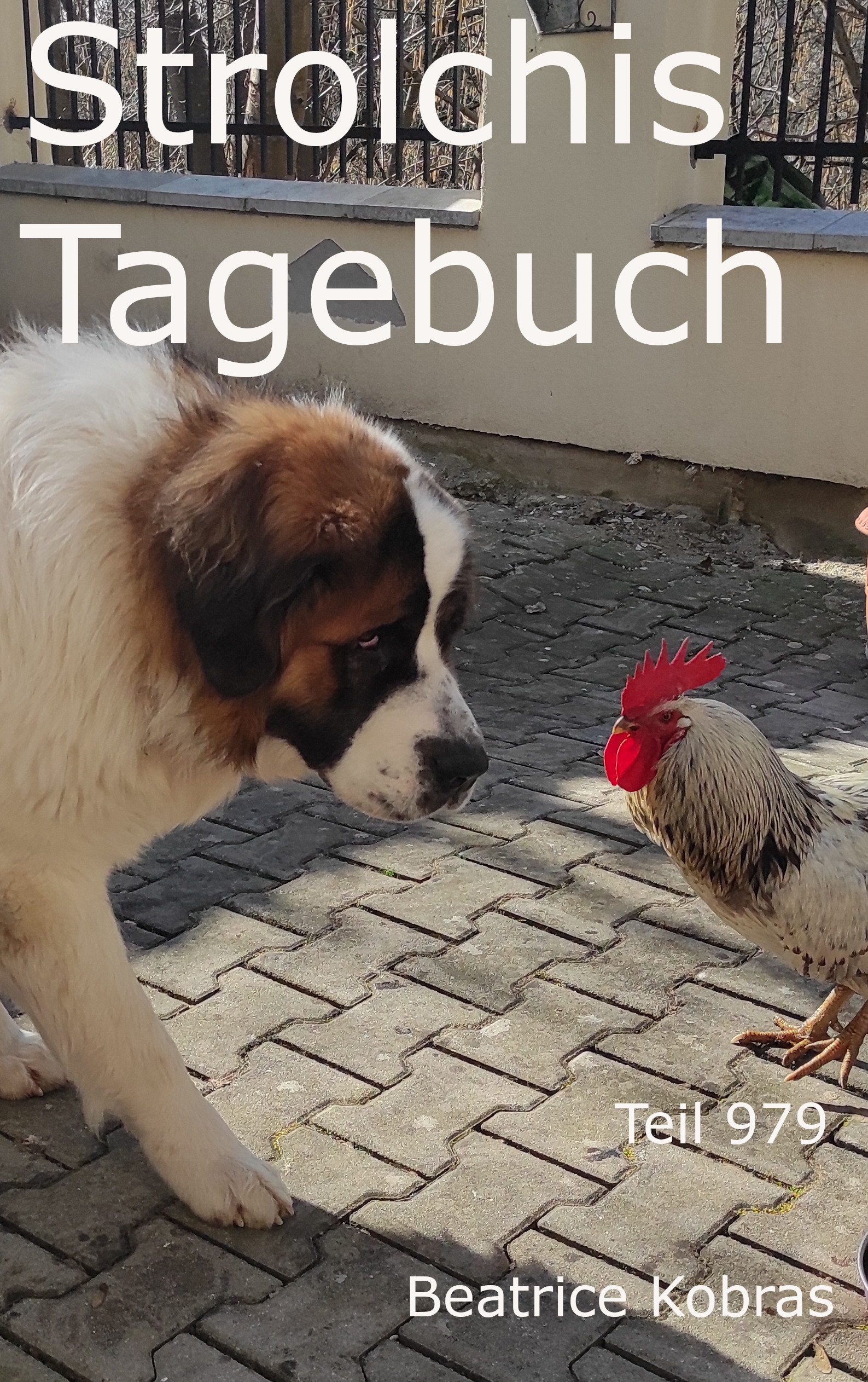 Strolchis Tagebuch - eine Buchserie mit Hunden, Katzen, Hühnern und außergewöhnlichen Freundschaften.
