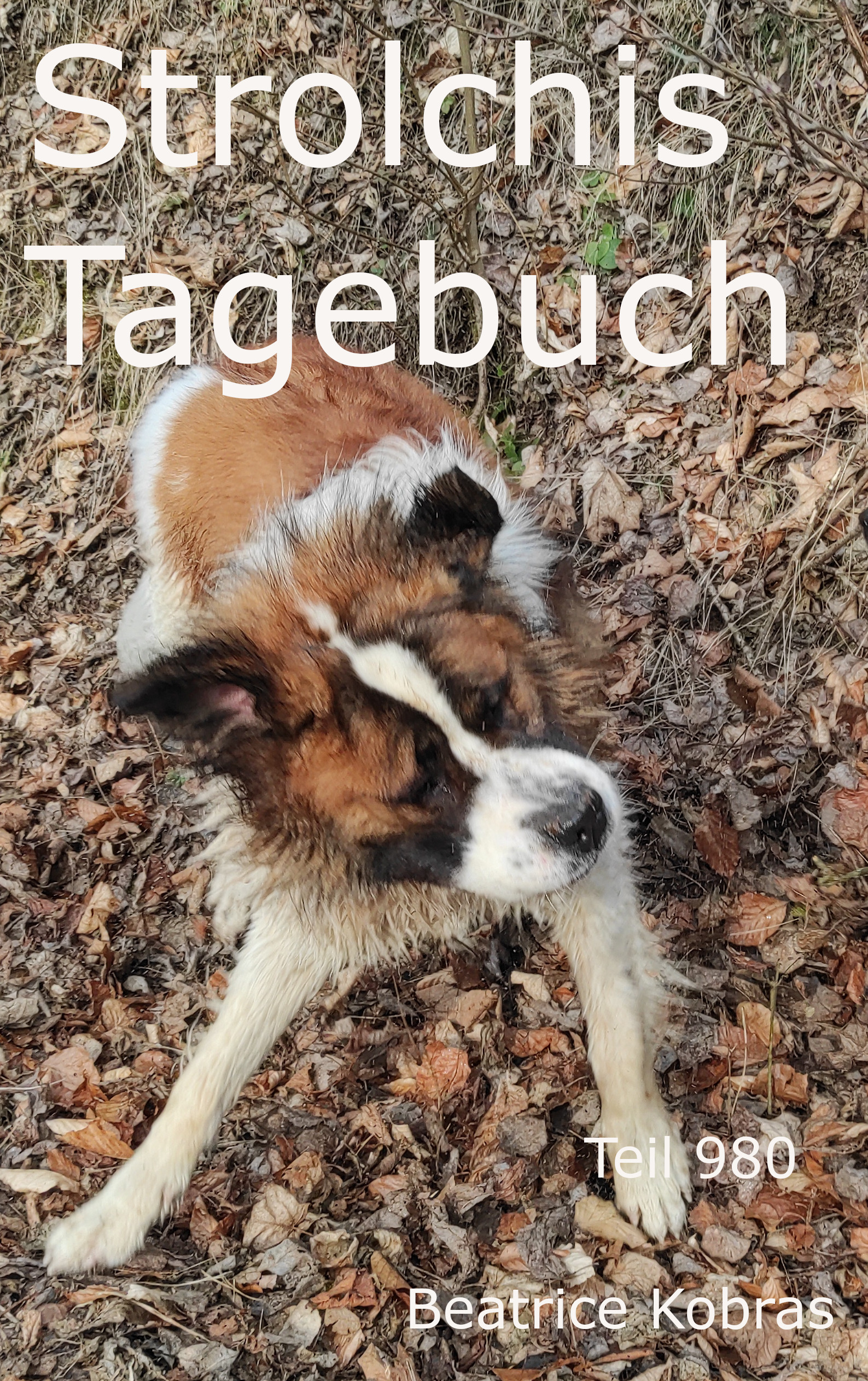 Strolchis Tagebuch - beliebte Hundebücher