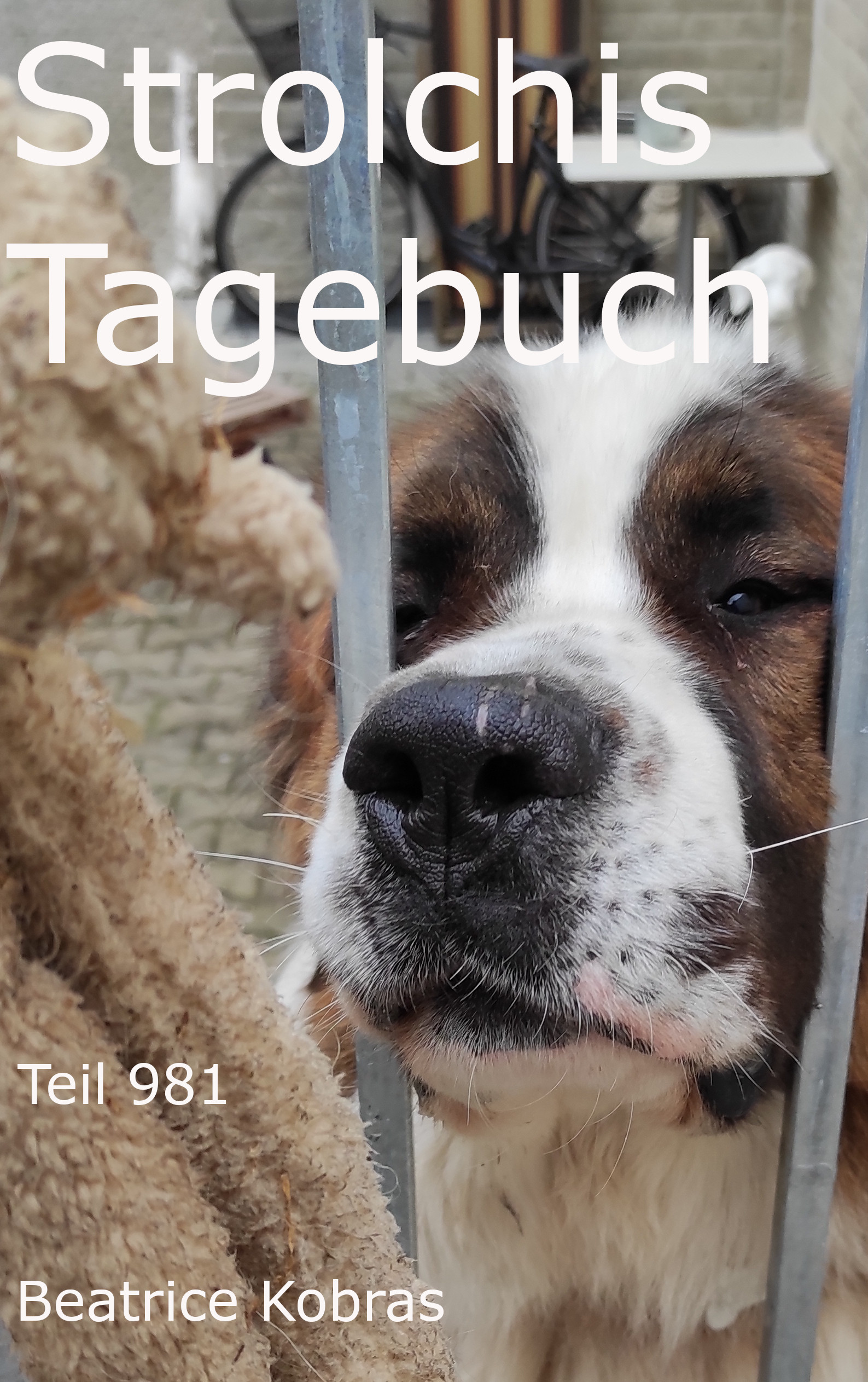 Strolchis Tagebuch - die beliebte Hundebuchserie.