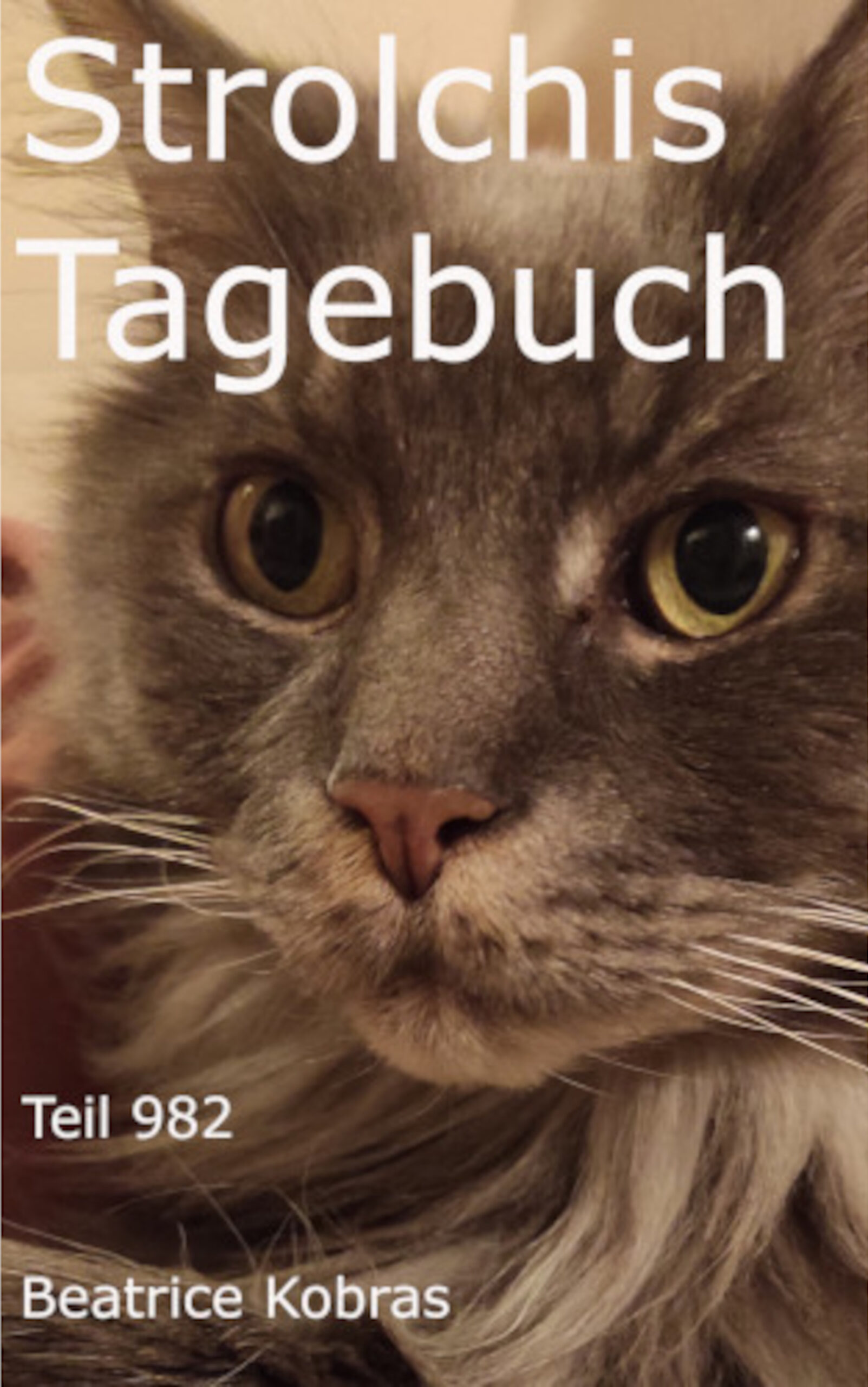 Liebevolle Katzengeschichten mit vielen Bildern.