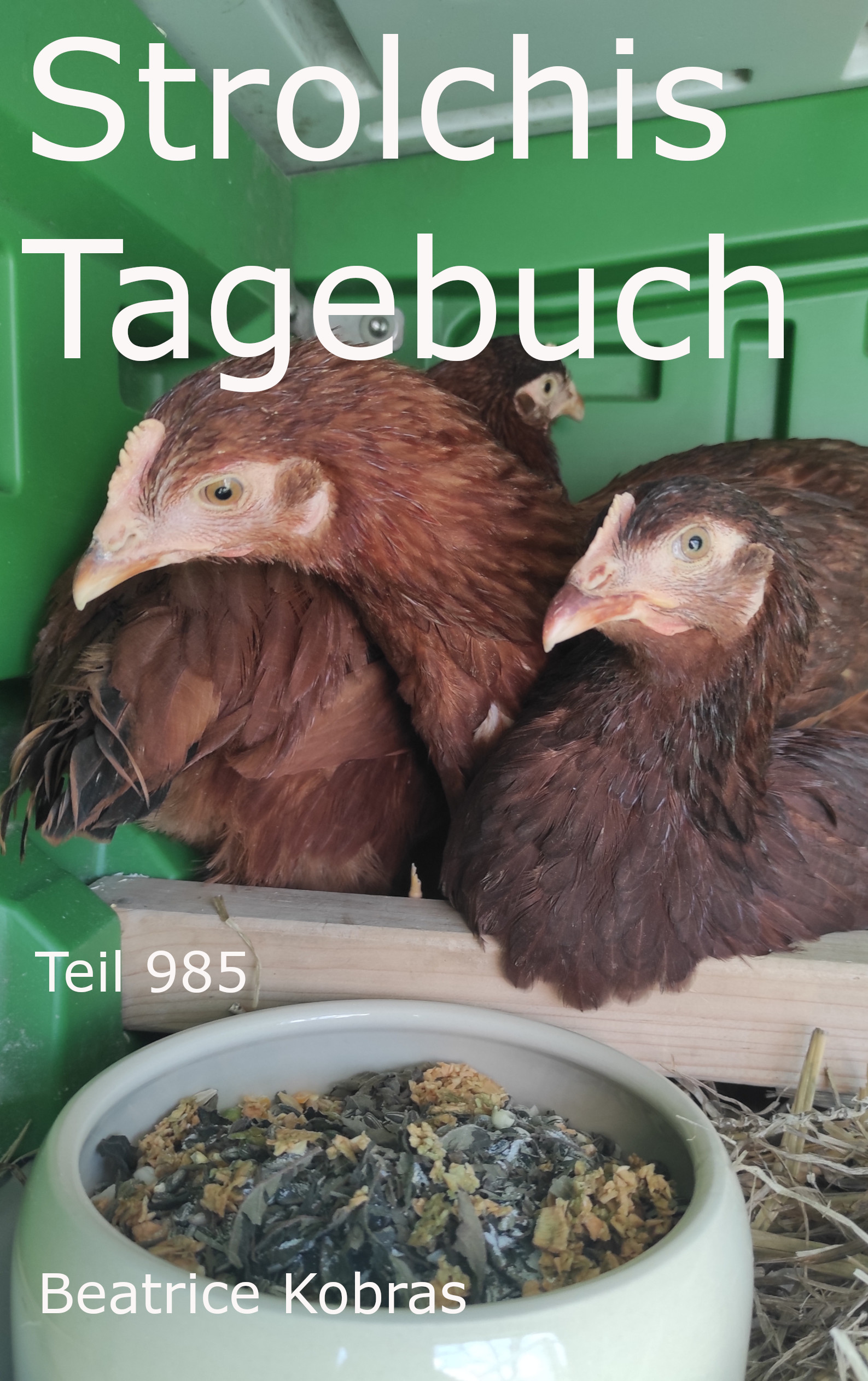 Strolchis Tagebuch - auch ein Hühnertagebuch. Liebevolle und lustige Geschichten über Hühner.
