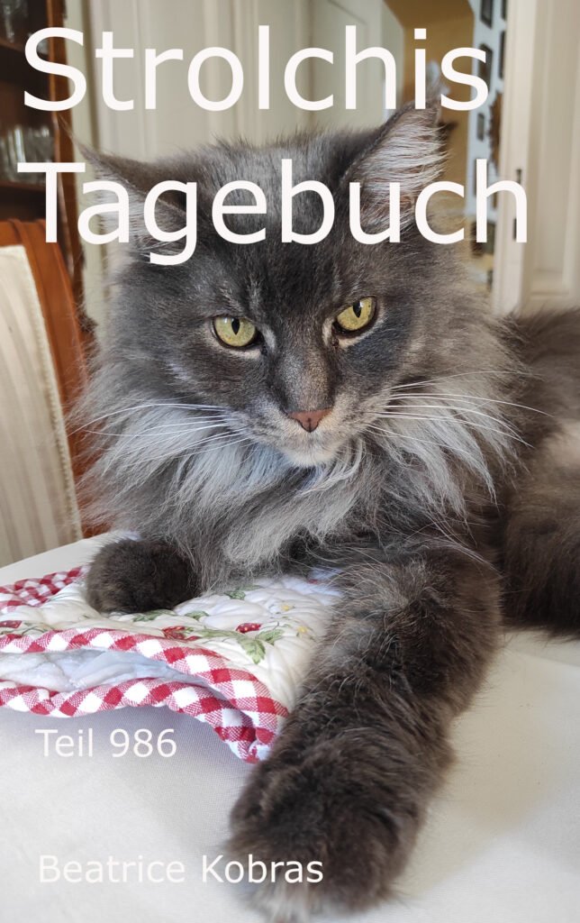 Strolchis lustiges Katzenbuch