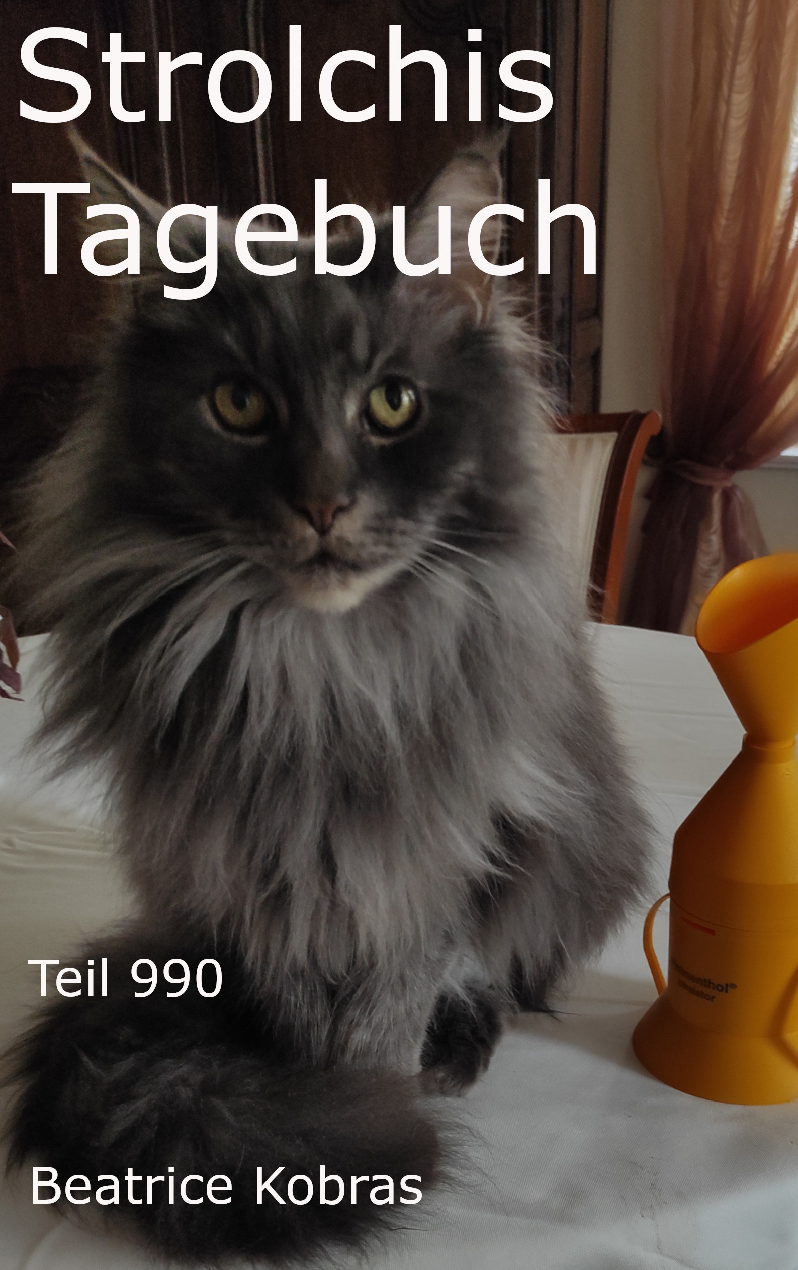 Strolchis Tagebuch - Tiertherapie in Buchform