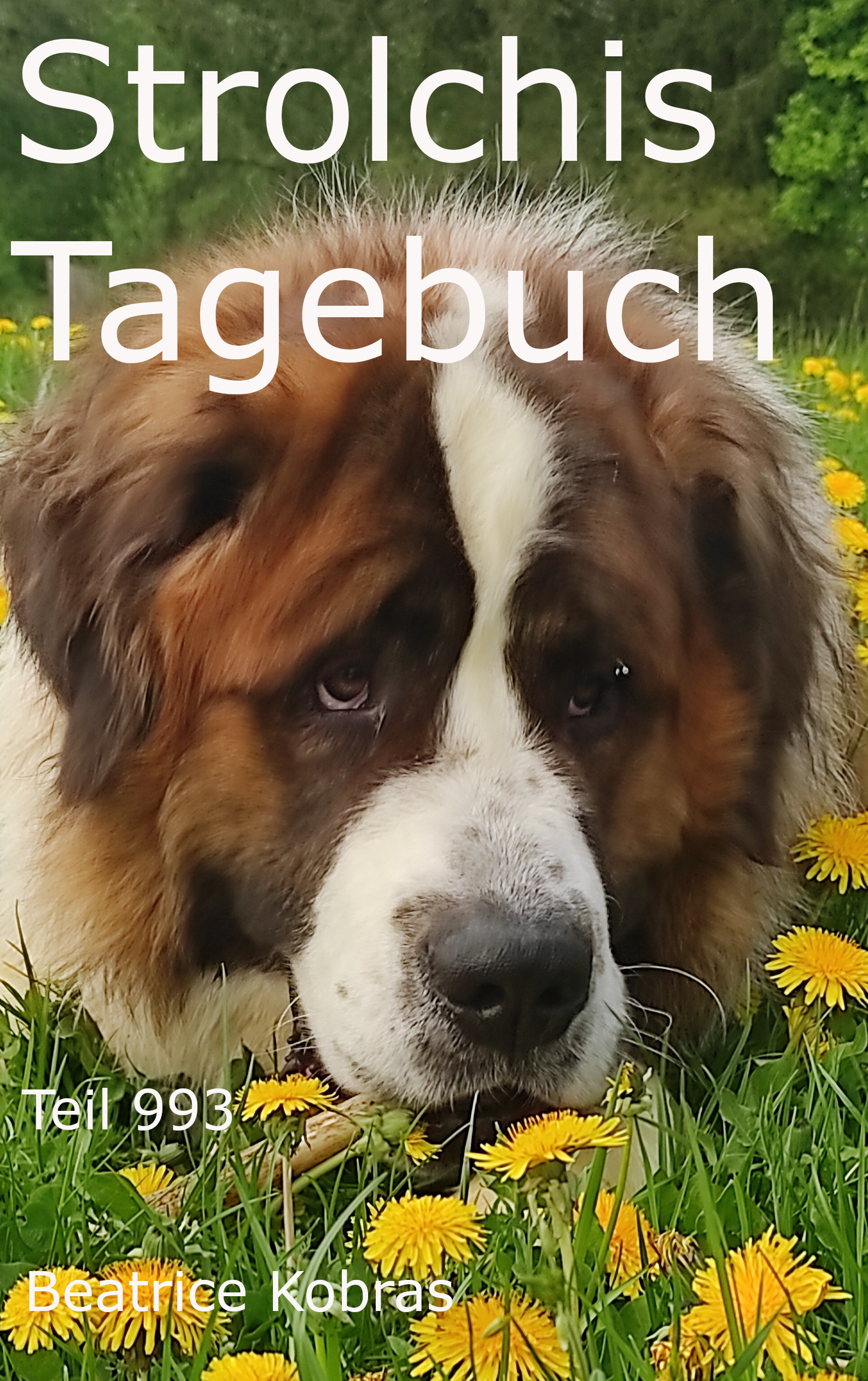 Strolchis Tagebuch - eine Bücherserie über Katzen, Hunde, Hühner