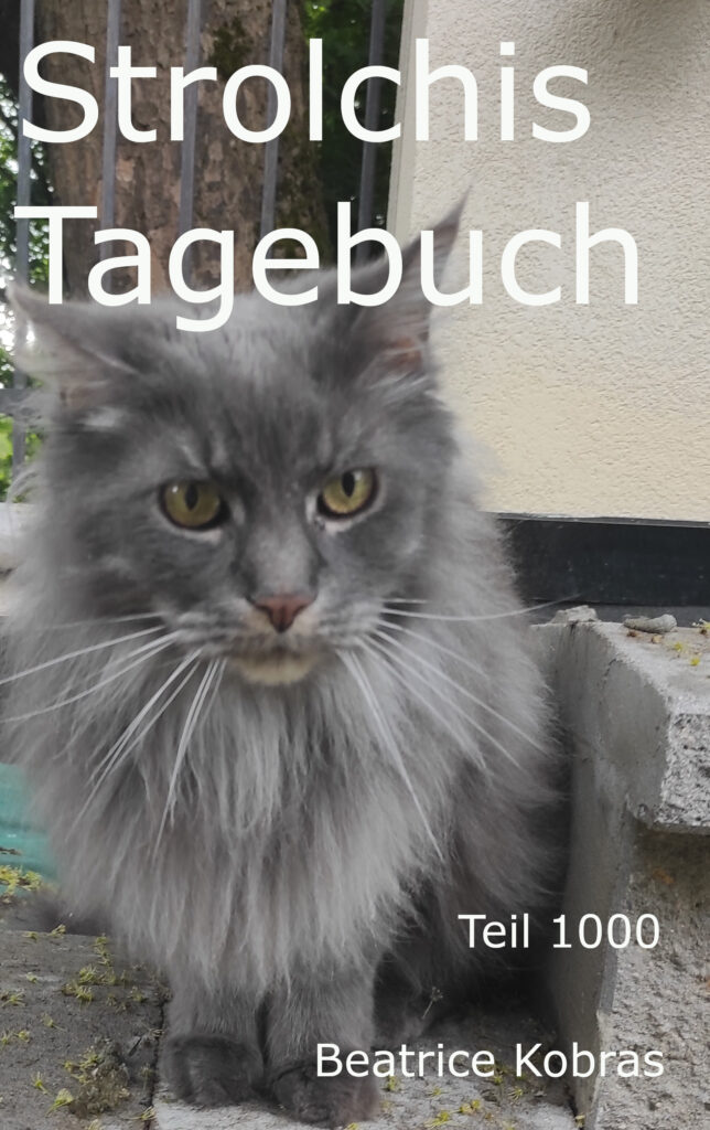 Katzenalltag im lustigen Katzenbuch