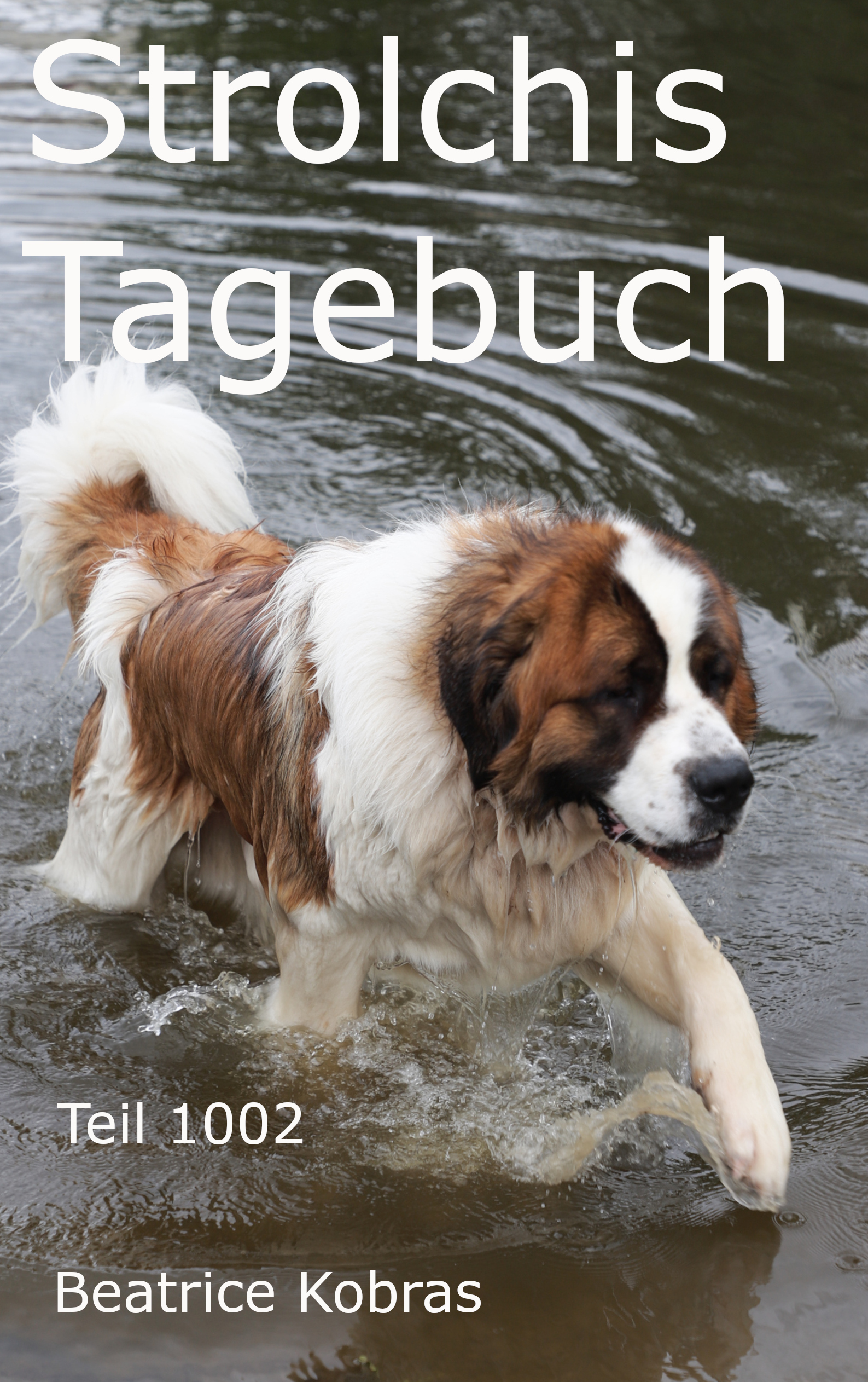 Strolchis Tagebuch - nicht nur ein Katzenbuch, sondern auch ein Hundebuch.