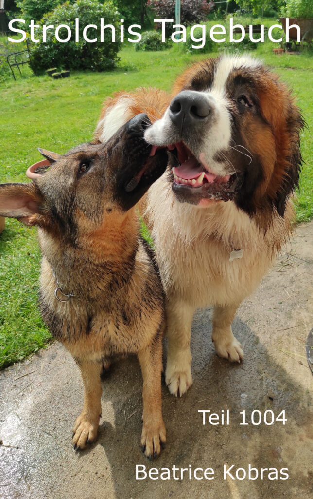 Lustige Geschichten über Hunde und Freundschaften in Strolchis Tagebuch.