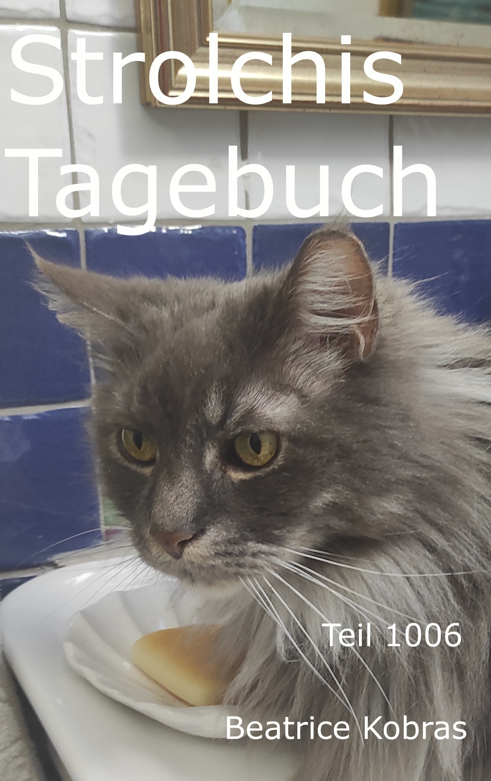 Strolchis Tagebuch - Freche Katzengeschichten.