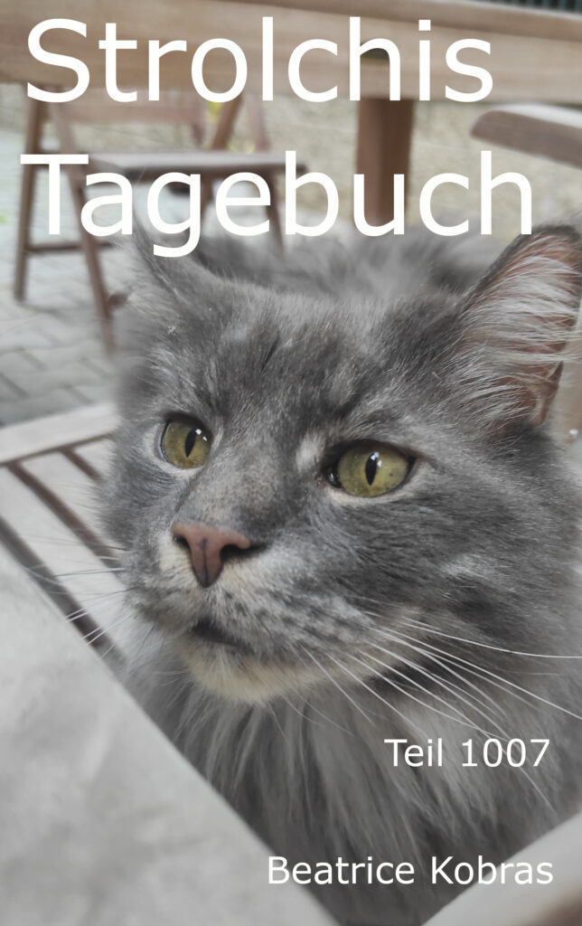 Strolchis Tagebuch - die beliebte Katzenbuchserie.