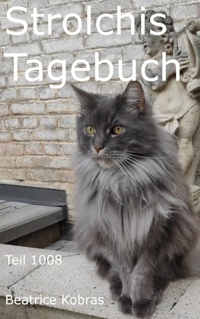 Lustige Katzengeschichten im Katzentagebuch.