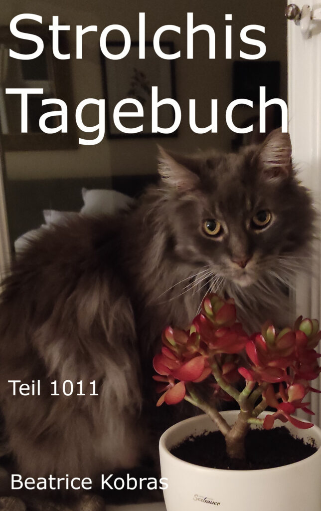 Kluge und freche Katze im Katzenbuch
