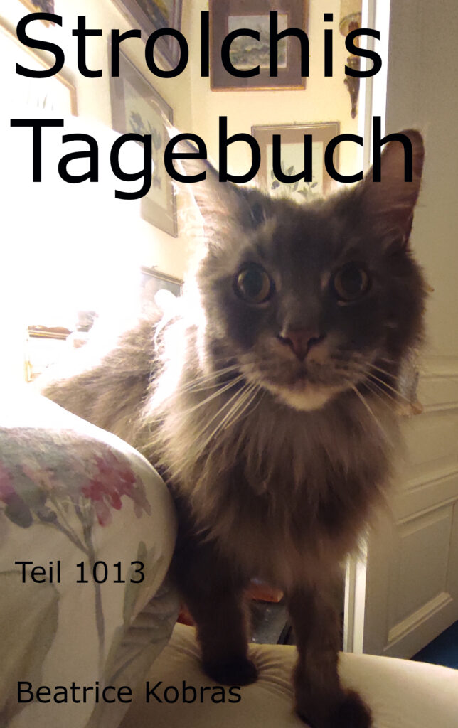 Lustige Katzengeschichten als Tagebuchserie