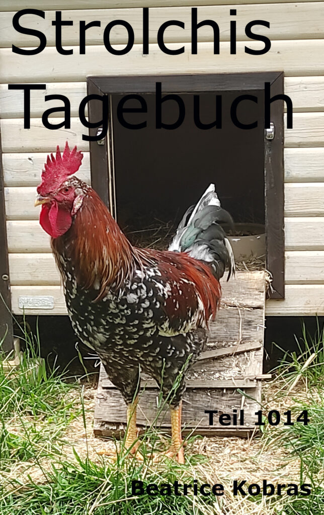 Lustige Hühnergeschichten in Strolchis Tagebuch