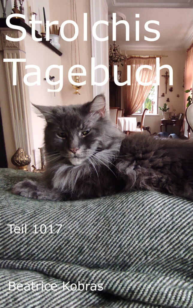 Lustige Katzenbücher von Strolchi