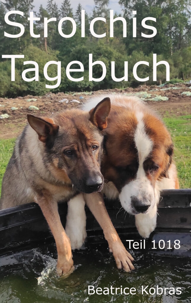 Zwei Freunde. Liebevolle Hundegeschichten zum schmunzeln.