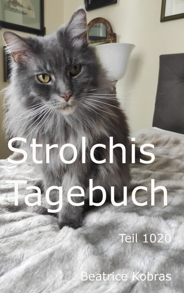 Katzenbuch mit vielen Katzenfotos.