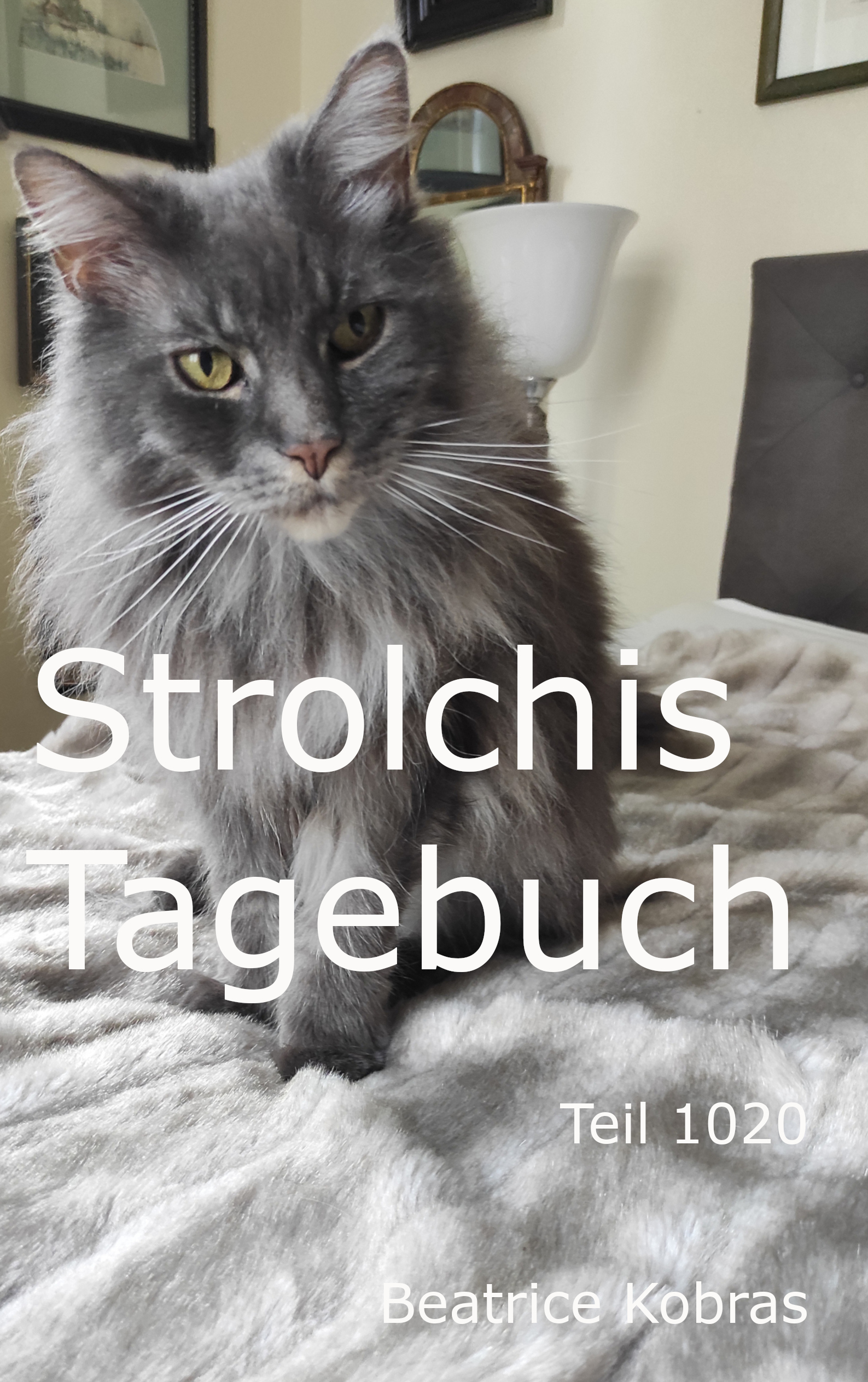 Katzenbuch mit vielen Katzenfotos.