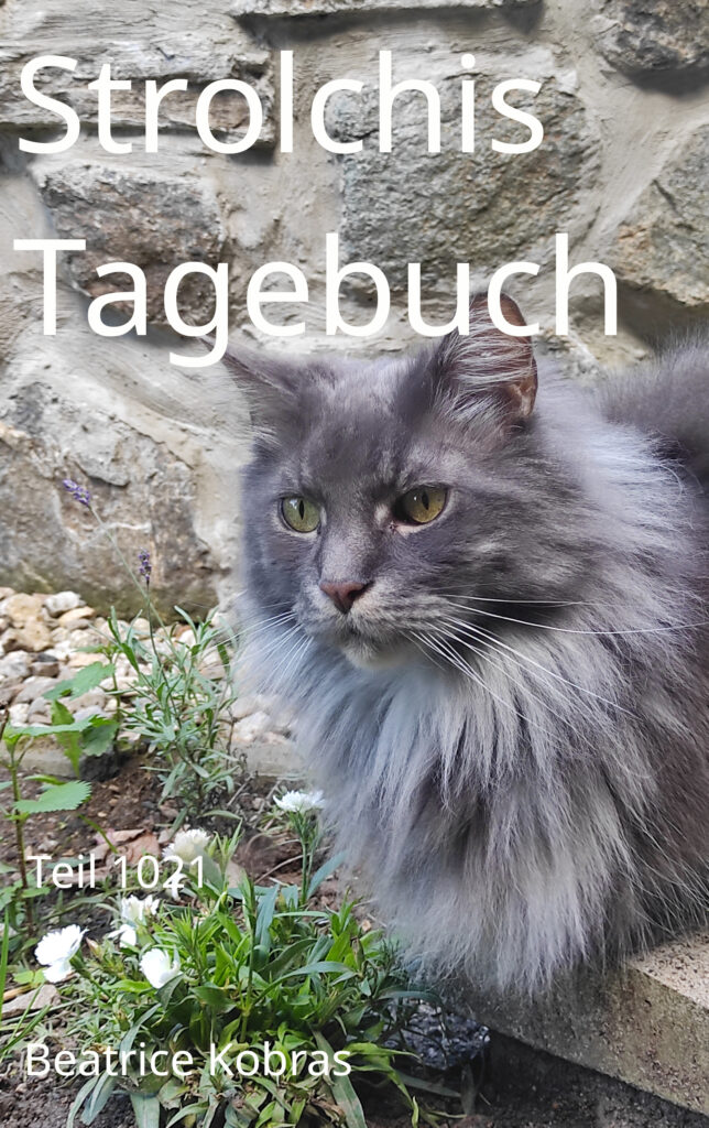 Katzenalltag als lustiges Katzenbuch.