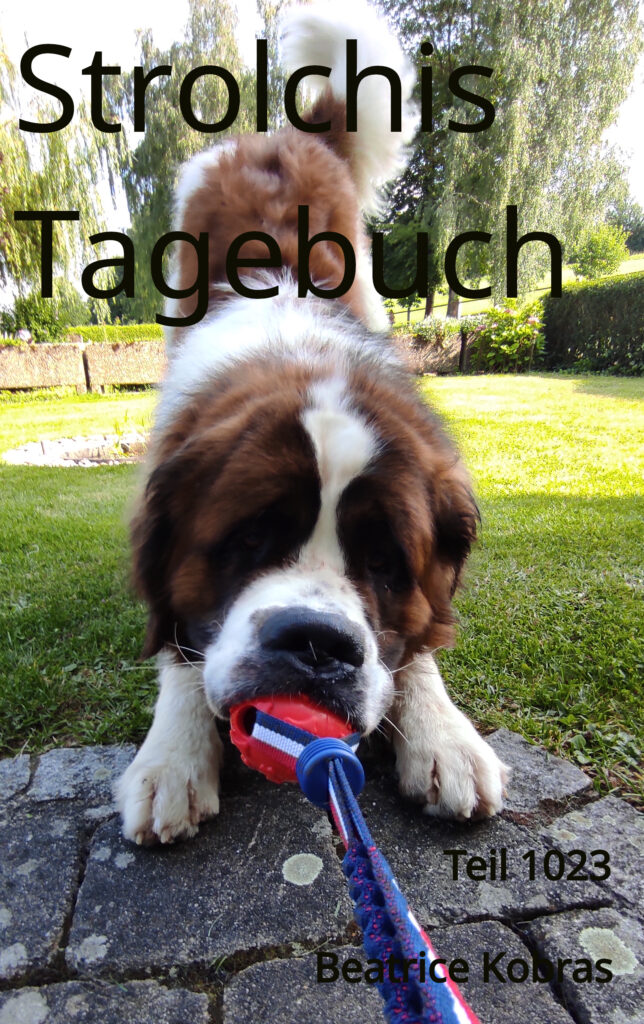 Lustige Hundeabenteuer.