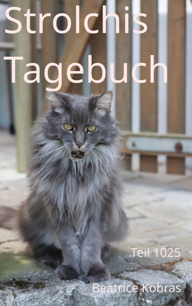 Abenteuer einer Frechen Katze.