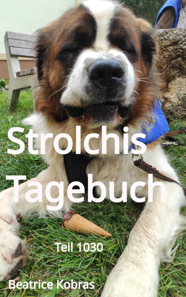 Ein Therapiehund bei der Arbeit. Herzzerreißende Tiergeschichten.