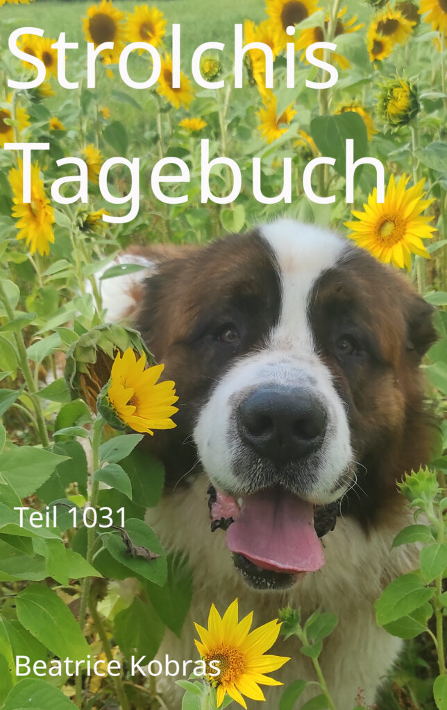 Lustige Hundegeschichten in Strolchis Tagebuch Teil 1031