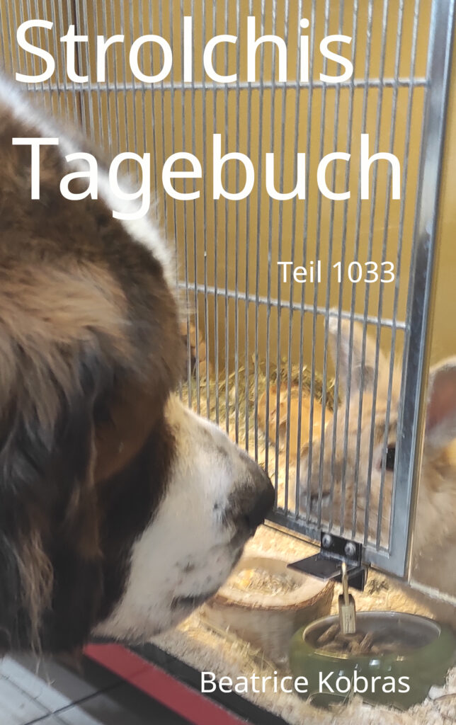 Eine lustige Hundegesichchte in Strolchis Tagebuch Teil 1033