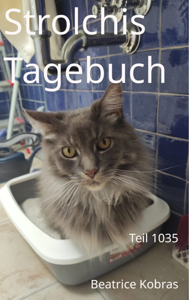 Katzengeschichten