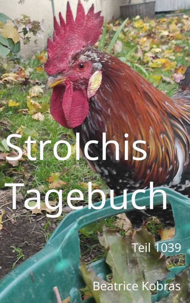 Eine Hühnergeschichte