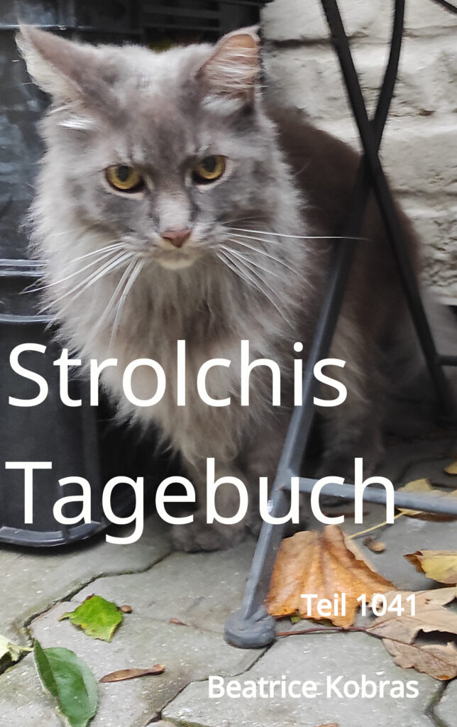 lustige Katzengeschichten
