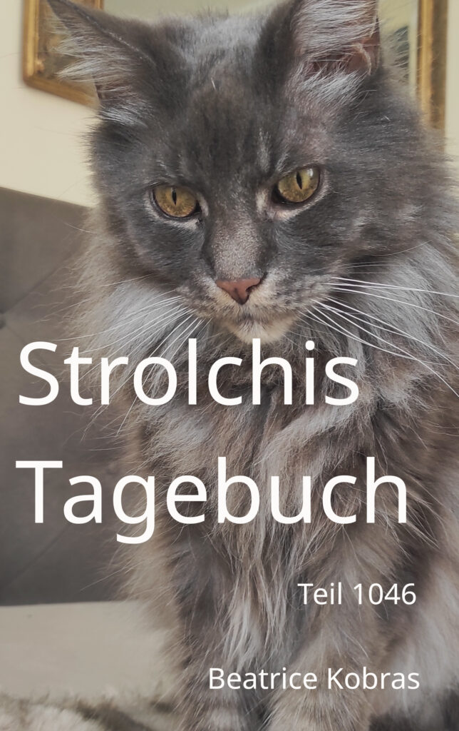 Katzengeschichten mit Humor und Herz