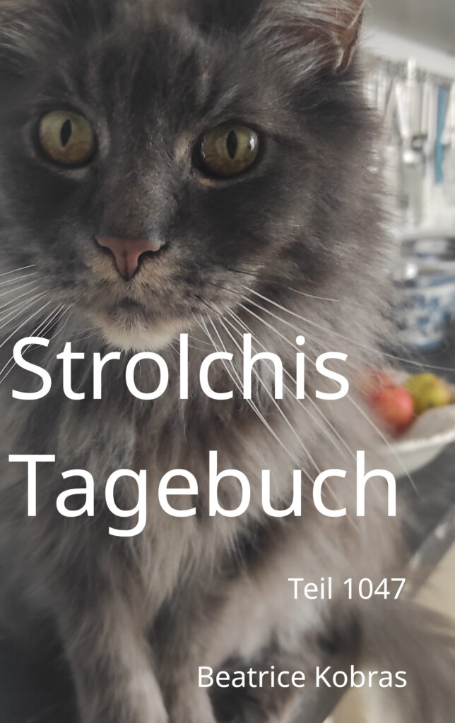 Strolchis Tagebuch - die andere Katzenbuchserie