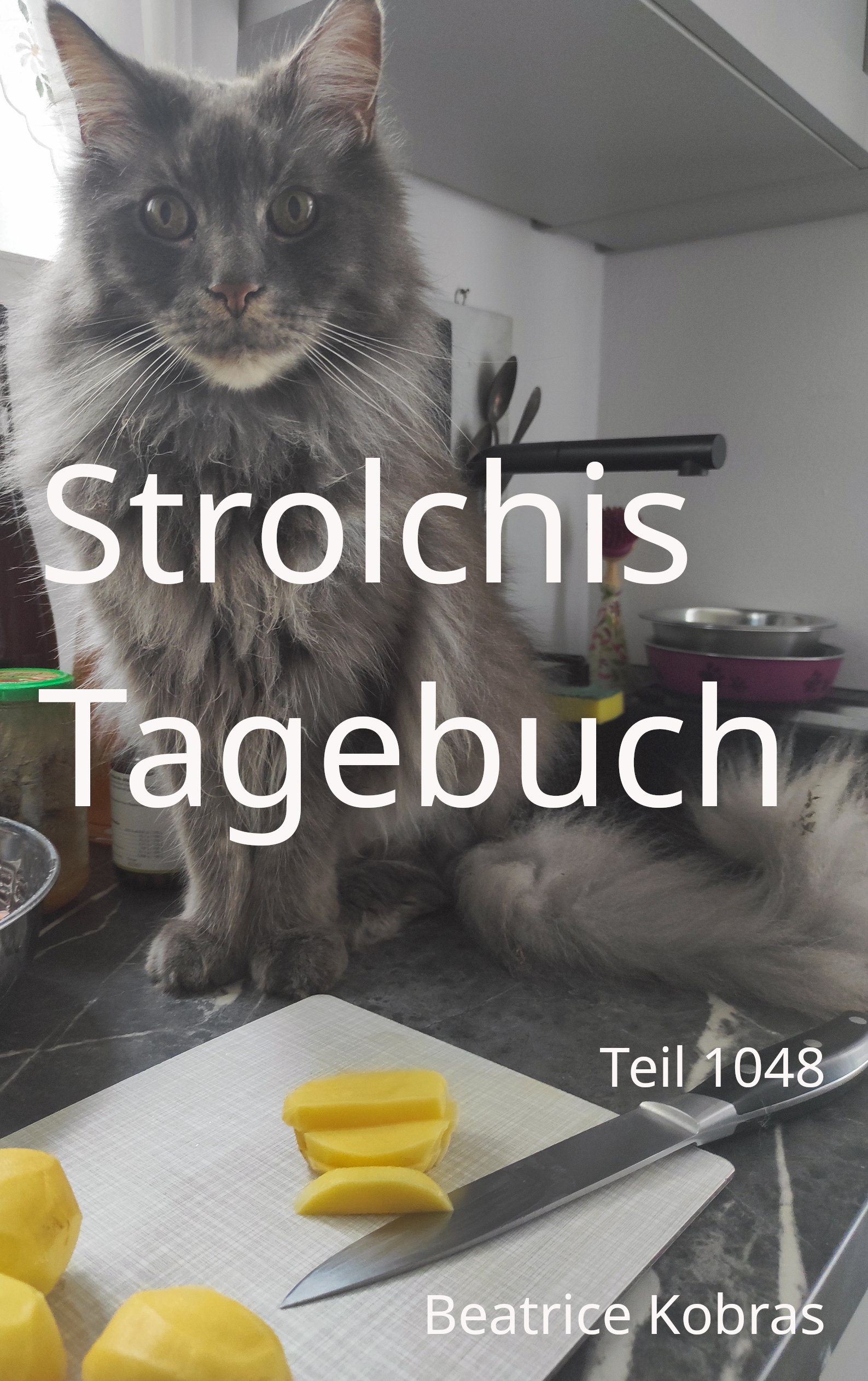 Strolchis Tagebuch - das Katzenbuch!
