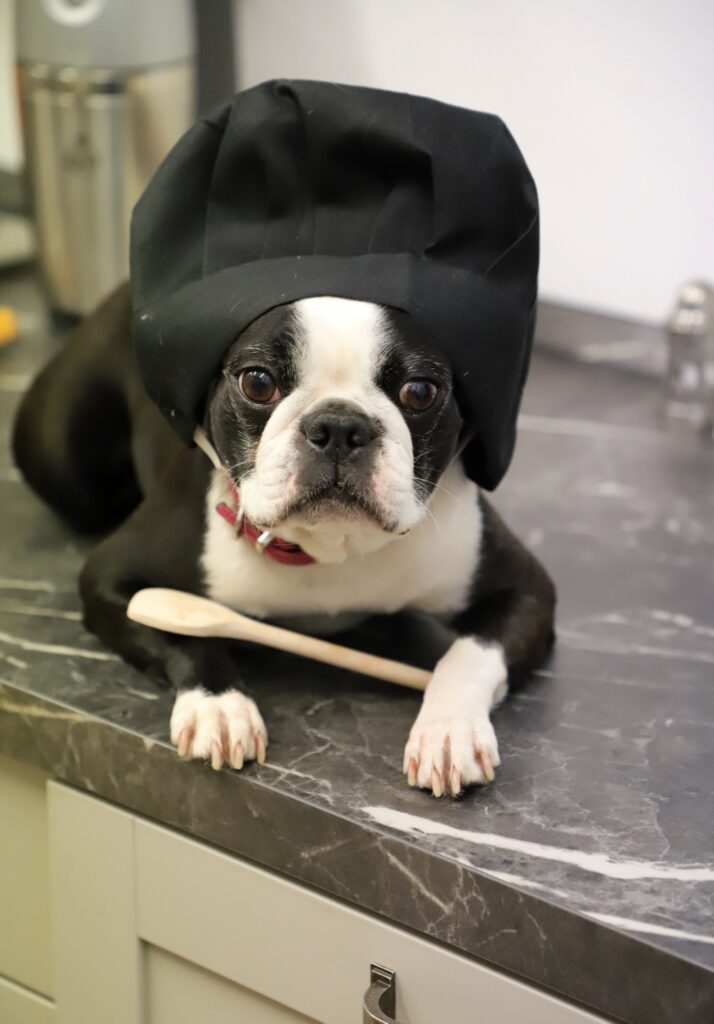 Leseprobe: Strolchis Tagebuch - Teil 946