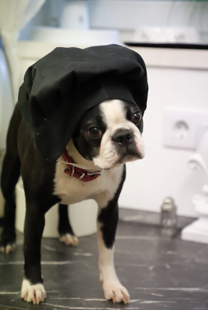 Leseprobe: Strolchis Tagebuch - Teil 946