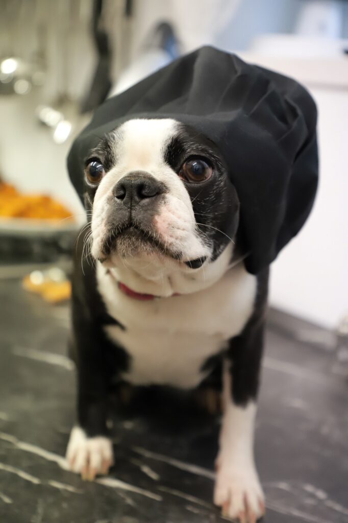 Leseprobe: Strolchis Tagebuch - Teil 946