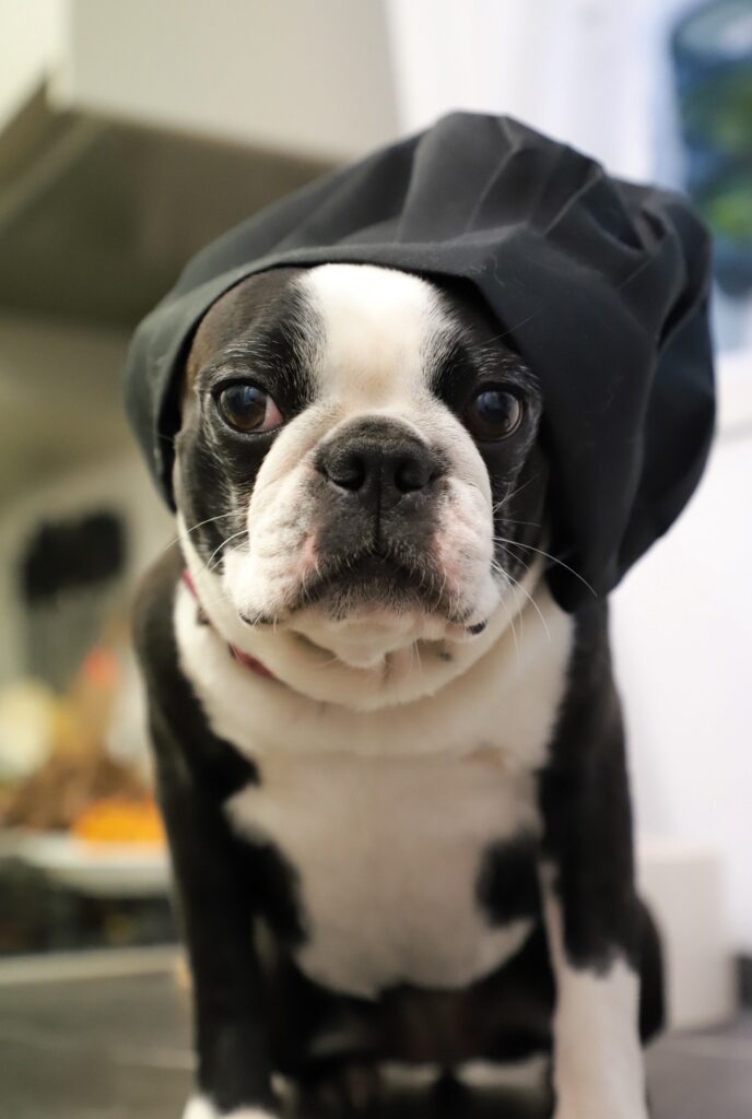 Leseprobe: Strolchis Tagebuch - Teil 946