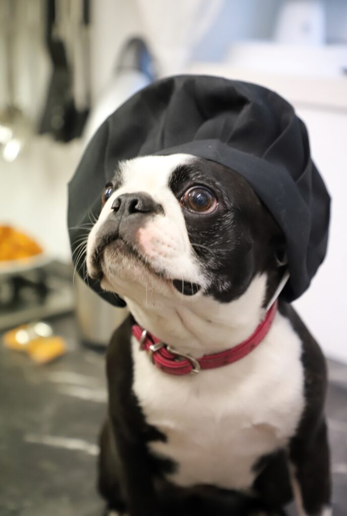 Leseprobe: Strolchis Tagebuch - Teil 946